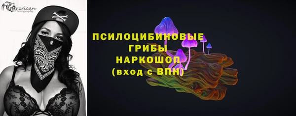 ГАЛЛЮЦИНОГЕННЫЕ ГРИБЫ Волосово