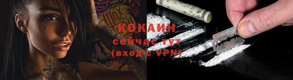 ГАЛЛЮЦИНОГЕННЫЕ ГРИБЫ Волосово