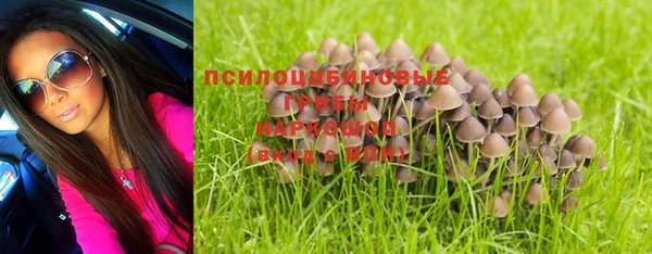 ГАЛЛЮЦИНОГЕННЫЕ ГРИБЫ Волосово