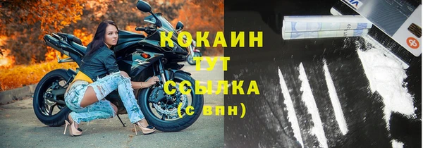 ГАЛЛЮЦИНОГЕННЫЕ ГРИБЫ Волосово
