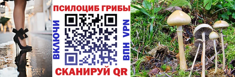 Купить закладки  Кизел  Галлюциногенные грибы GOLDEN TEACHER 